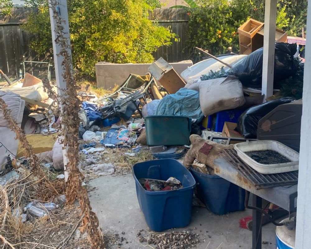 Junk Removals