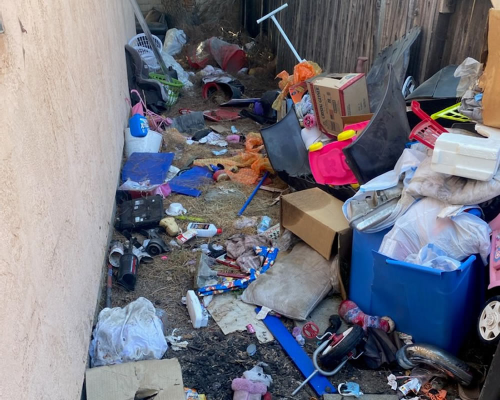 Yard waste Removal
